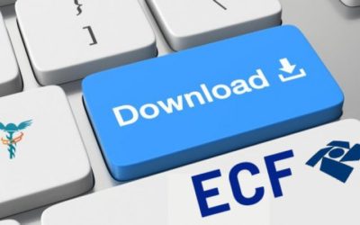 ECF: Receita divulga nova versão para download