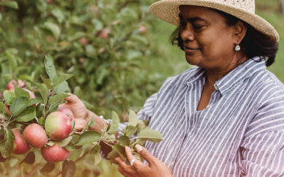 Pandemia: Senado aprova auxílio para agricultores familiares de R$ 2,5 mil