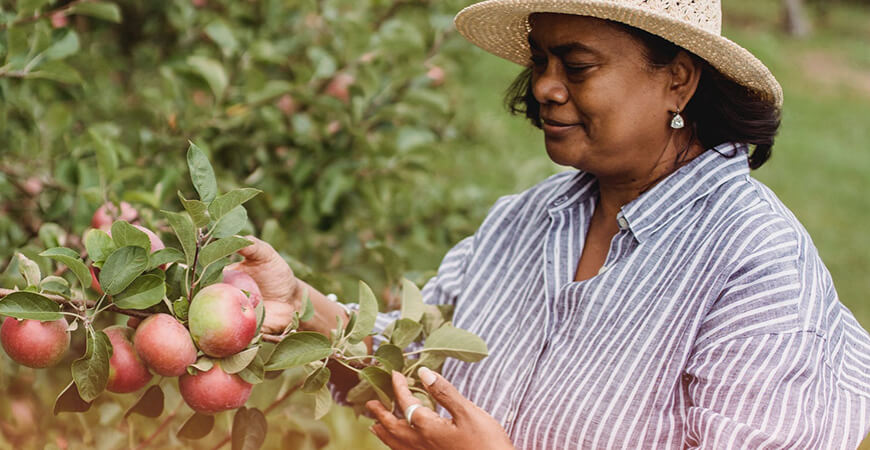 Pandemia: Senado aprova auxílio para agricultores familiares de R$ 2,5 mil