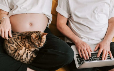 Afinal, gestantes podem ou não retornar ao trabalho?