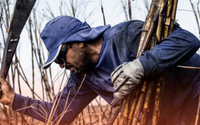 MPT: não recolhimento do FGTS e trabalho análogo ao escravo registram recorde em 2021