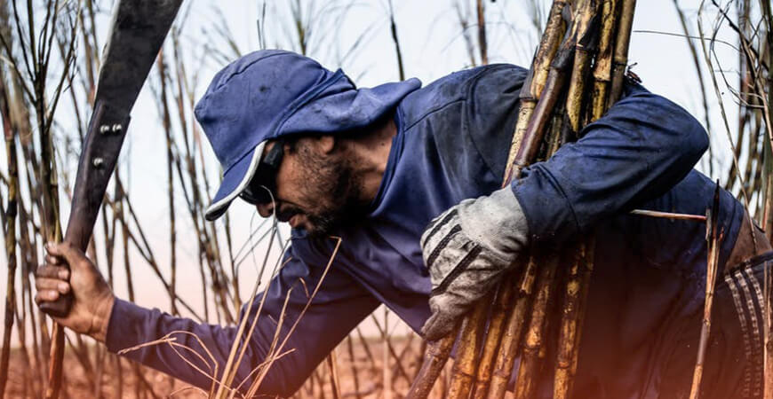 MPT: não recolhimento do FGTS e trabalho análogo ao escravo registram recorde em 2021