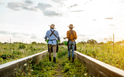Receita Federal inclui agro em programa de conformidade tributária
