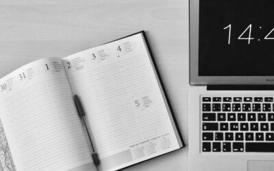 Holding Familiar e Patrimonial: a chave para a gestão e proteção do patrimônio em 2024