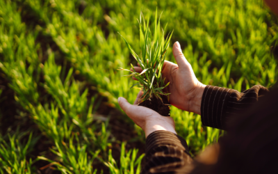 PL aprovado altera a Lei do Trabalho Rural e define que “troca de dias” não configura vínculo empregatício entre pequenos agricultores