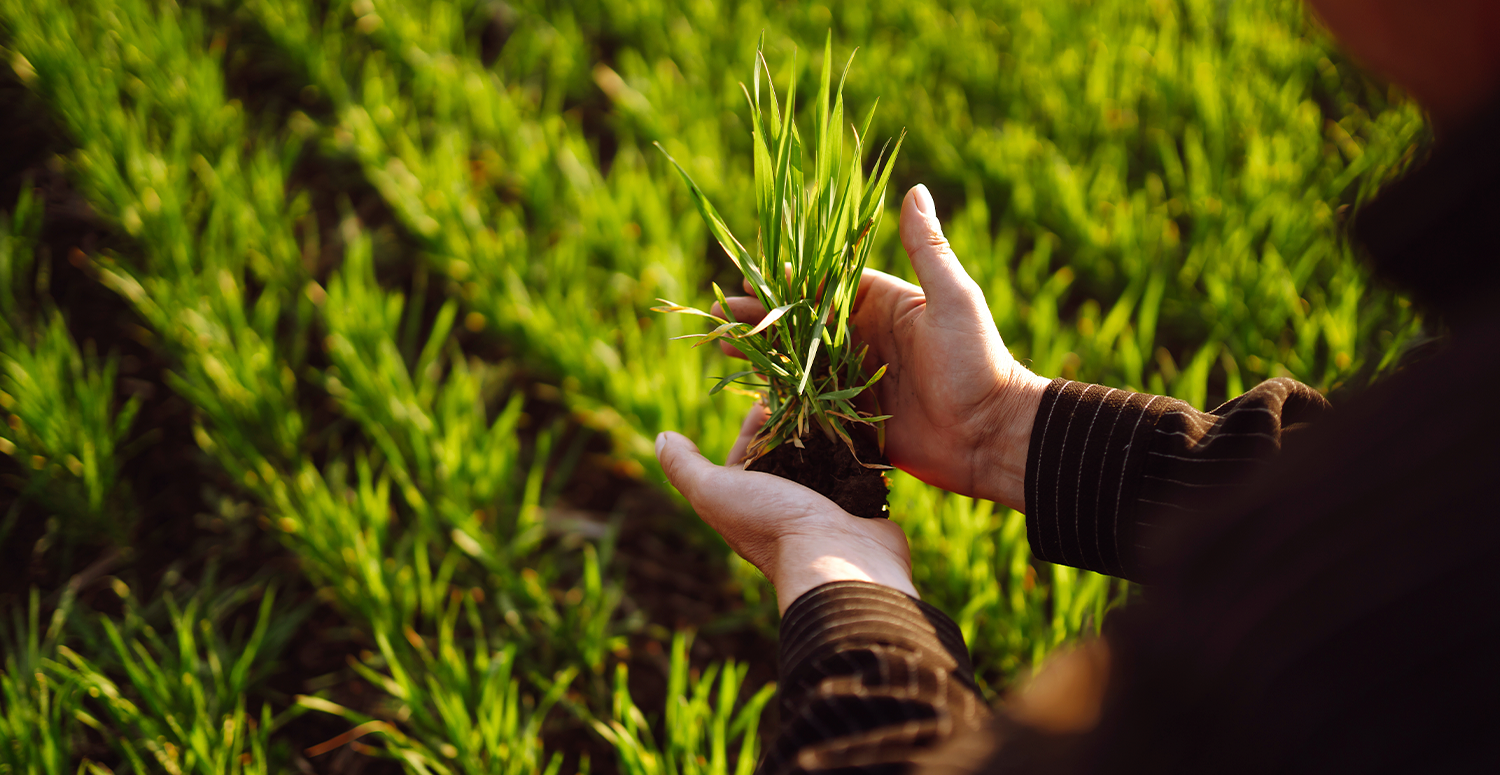 PL aprovado altera a Lei do Trabalho Rural e define que “troca de dias” não configura vínculo empregatício entre pequenos agricultores