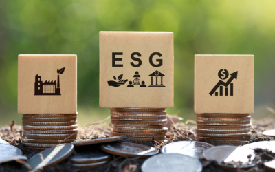 Metas ESG: o papel do RH na sustentabilidade empresarial