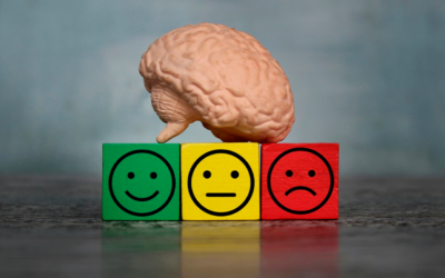 Governo quer adiar NR-1 sobre saúde mental no trabalho para 2026