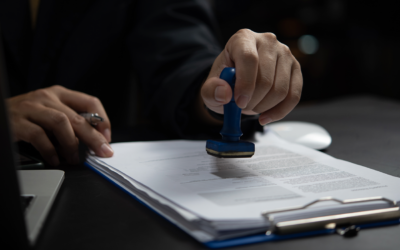 Super MEI: nova categoria entre MEI e ME pode ser aprovada ainda em 2025, diz senadora