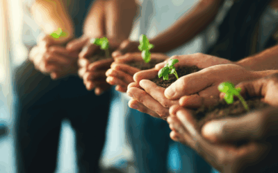 ESG e a contabilidade sustentável: o papel do contador