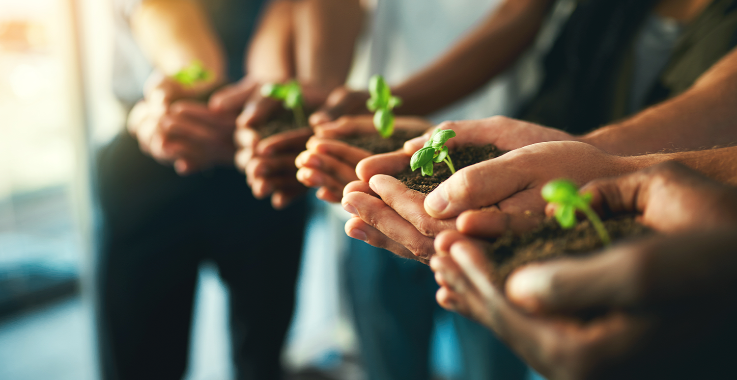 ESG e a contabilidade sustentável: o papel do contador