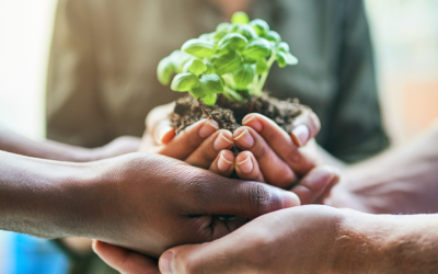 O papel do contador na ESG e na Contabilidade Sustentável