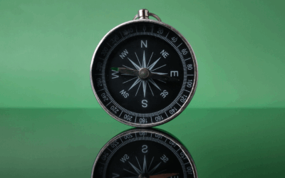 Bússola contábil: como usar relatórios financeiros para decisões e não só para cumprir obrigações