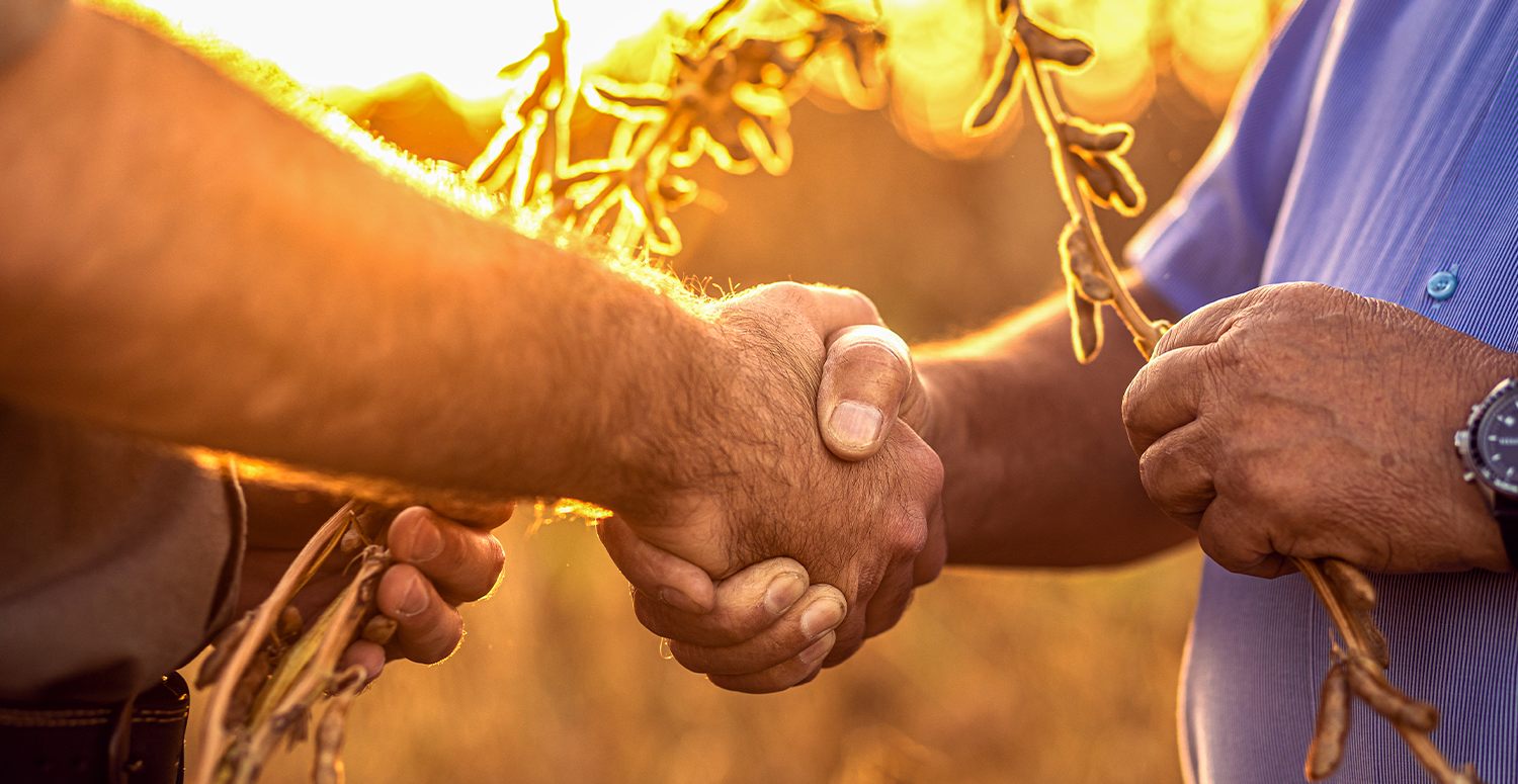 Agronegócio em Mato Grosso: quais impostos podem ser reduzidos hoje? Agronegócio em Mato Grosso: quais impostos podem ser reduzidos hoje?