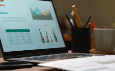 Reta final: prazo para envio da e-Financeira acaba na próxima sexta-feira (29) e atraso gera penalidades e multas