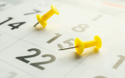 Feriados regionais em julho de 2025: confira a lista e locais