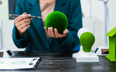 Amazônia, COP30 e a economia verde: como a contabilidade pode impulsionar negócios sustentáveis