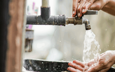 Atualização do manual da NFAg reforça regras fiscais para contadores