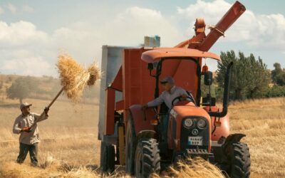 CNPJ obrigatório para produtor rural? O que a LC 214/2025 realmente diz